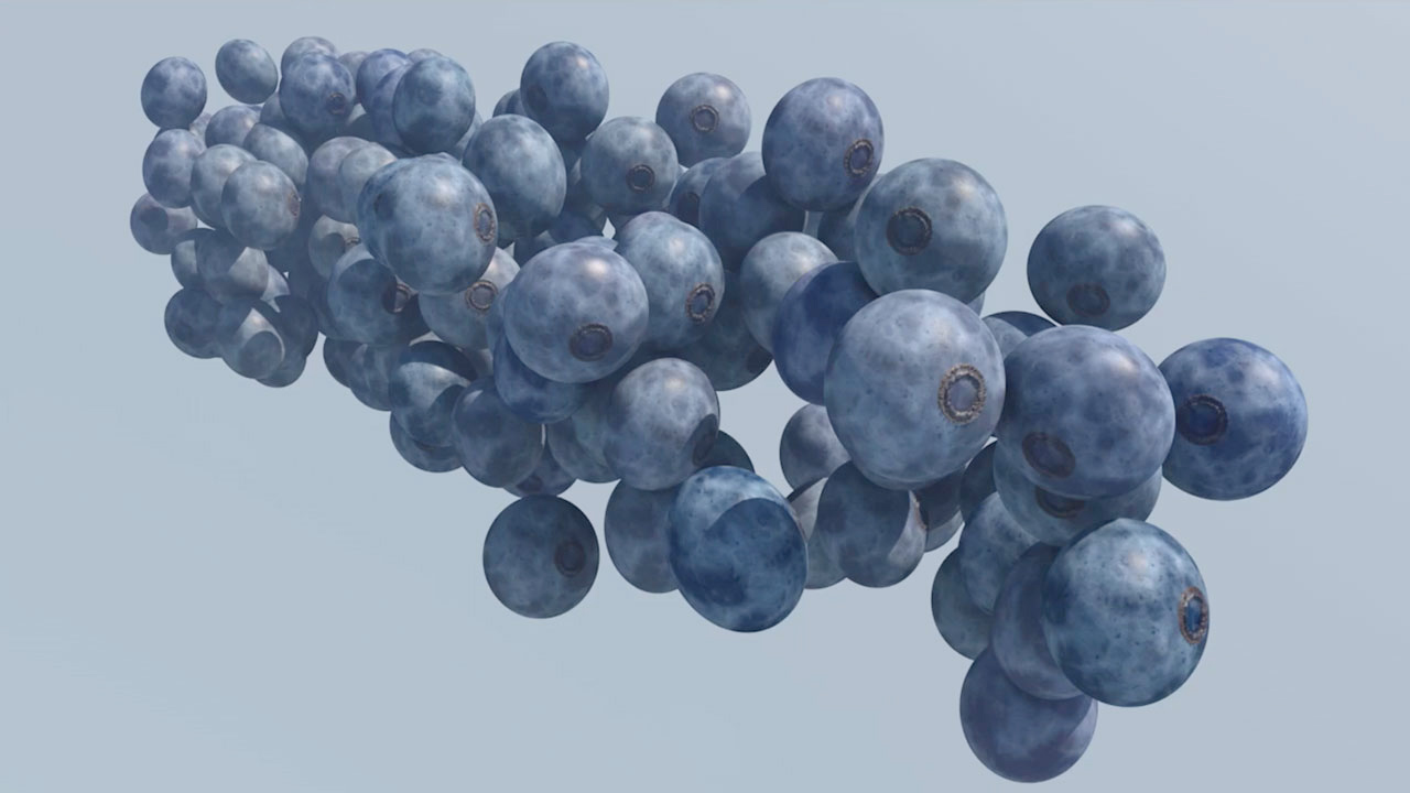 free blueberry model
