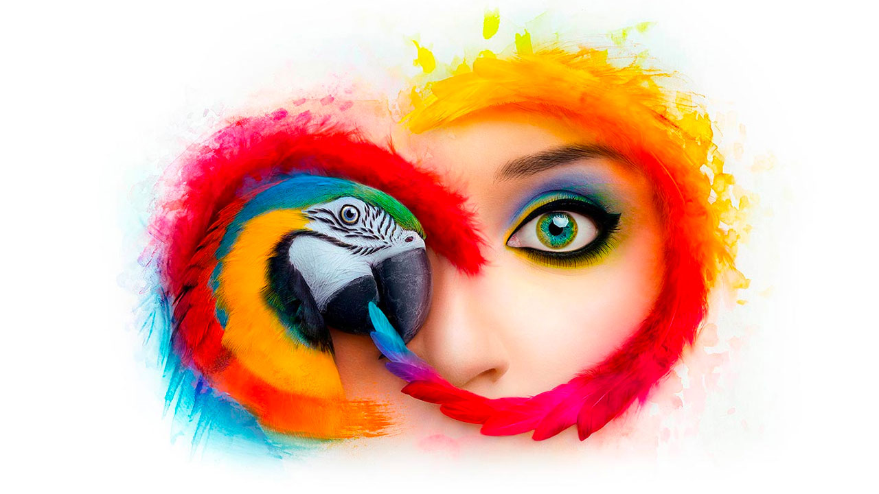 Adobe Creative Cloud
