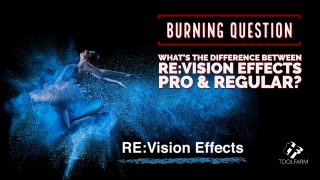 Burning Question What’s the difference between RE:Vision Effects Pro & Regular?