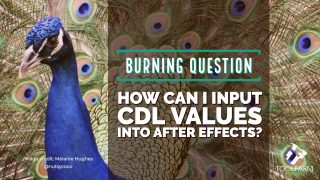 Burning Question CDL Image credit: Melanie Hughes @nutsycoco