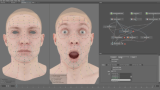 Getting Started with Point Detector in R3DS Wrap