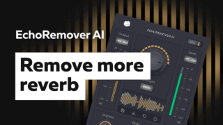 EchoRemover AI Tutorials