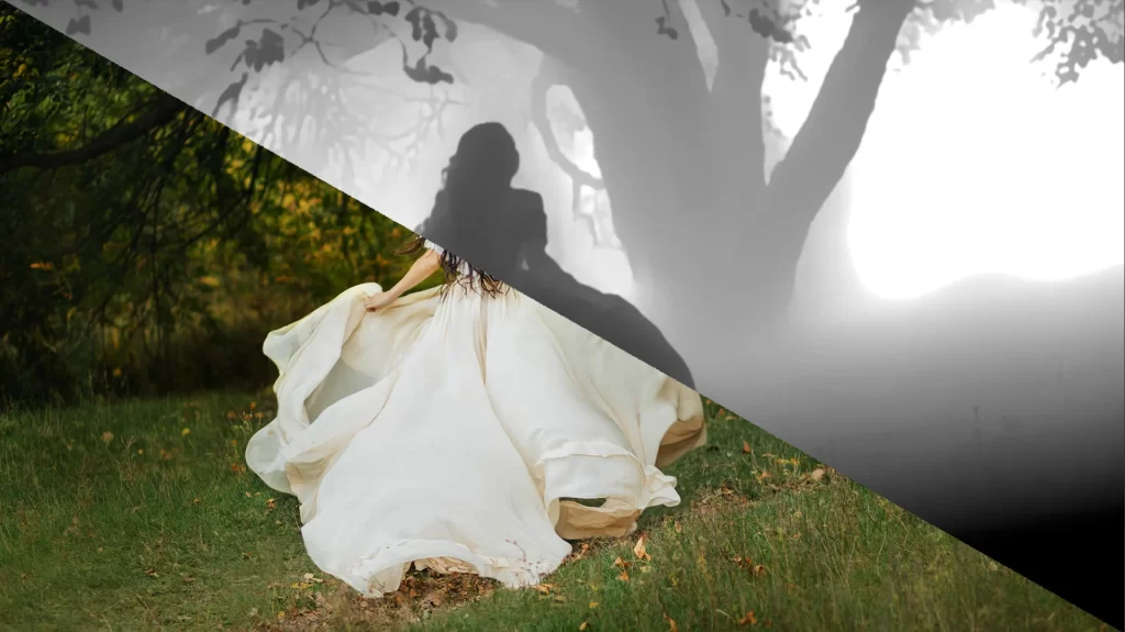 boris fx optics 2026